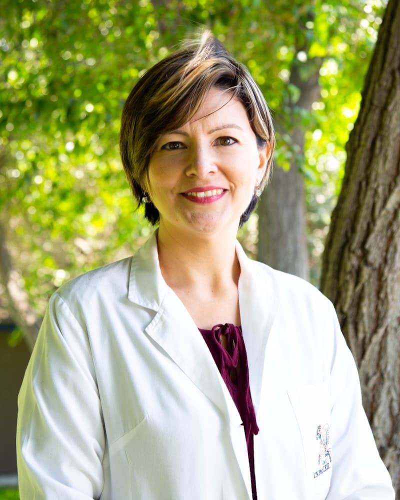 Dr Annelie Meyer